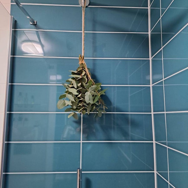 Shower Eucalyptus Bundle - Fresh Cut Eucalyptus - Etsy UK
