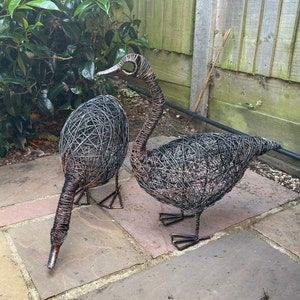 Sally ha añadido una foto de su compra