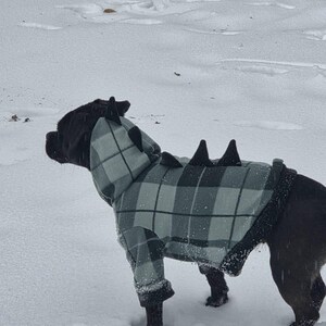 Dog Dino Hoodie Sewing Pattern: XXS-XXXL (PDF Pattern) - Etsy