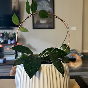 Mary added a photo of their purchase