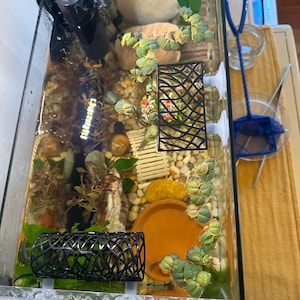 Kaitlyn added a photo of their purchase
