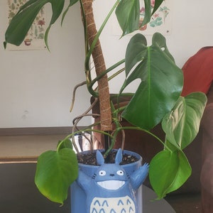Anastasia ha añadido una foto de su compra