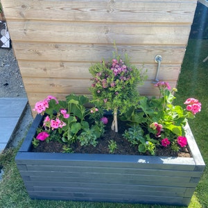 Debbie added a photo of their purchase