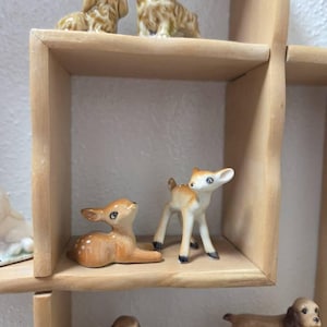 Amanda added a photo of their purchase