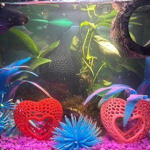 Heather added a photo of their purchase