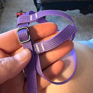 Alyssa added a photo of their purchase