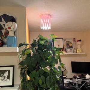 Jeanette added a photo of their purchase