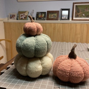 LeeAnn added a photo of their purchase