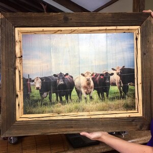 Beth added a photo of their purchase