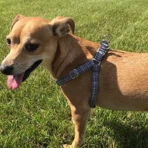 Emilia a ajouté une photo de son achat