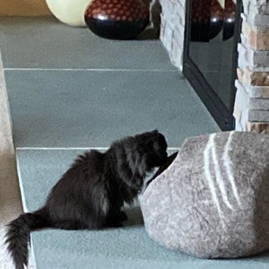 Thomas added a photo of their purchase