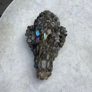 Bone added a photo of their purchase