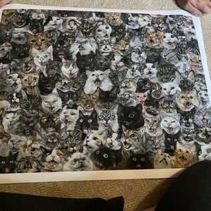 Rebecca added a photo of their purchase
