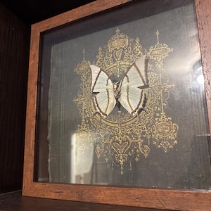 Julia hat ein Foto des gekauften Artikels hinzugefügt