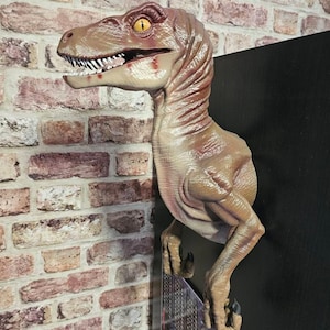 Sleeping Baby Velociraptor Art Dinosaur 3D Printed Multiple Colours ...