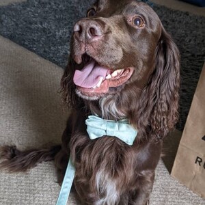Charlotte added a photo of their purchase