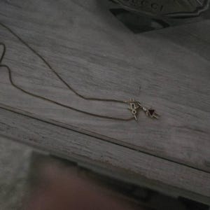 Maria added a photo of their purchase