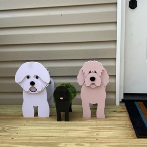 Daphne added a photo of their purchase