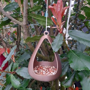 Pauline added a photo of their purchase