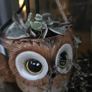 Joyce added a photo of their purchase