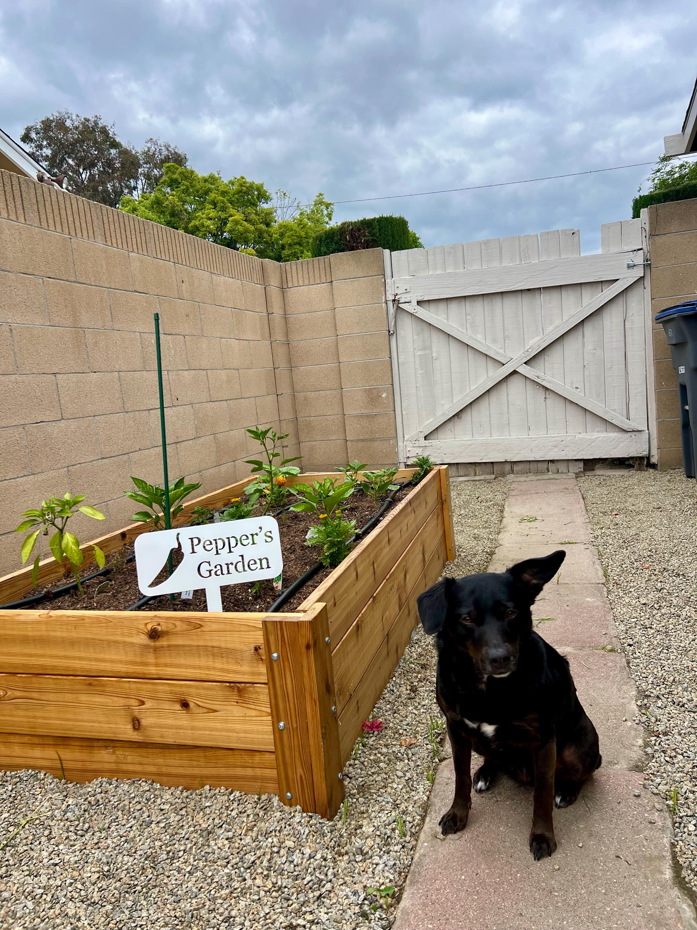 Personalized Garden Sign - Custom Metal Garden Stake - Grandpas Garden Stake -Metal Farm Stake -Personalized Ground Stake - Metal Marker