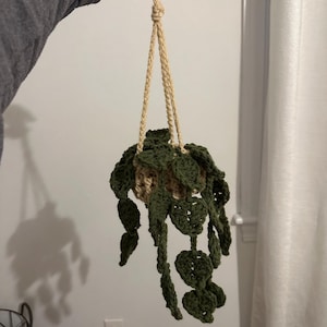 Ryan added a photo of their purchase