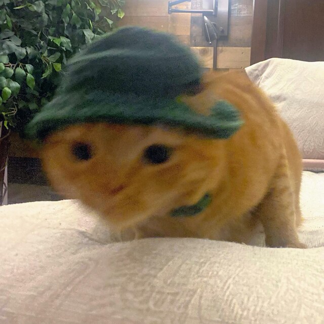 帽子 rad musician PAINT ROSE + CAT BUCKET HAT rad musician PAINT ROSE + CAT BUCKET HAT