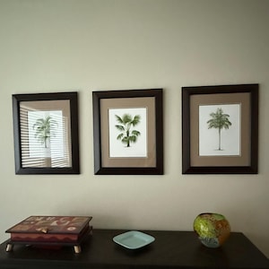 JulieE added a photo of their purchase