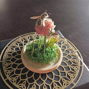 Laslo added a photo of their purchase