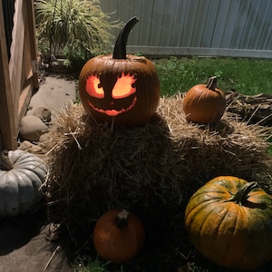 10 Printable Jack-o-lantern Pumpkin Carving Patterns for - Etsy