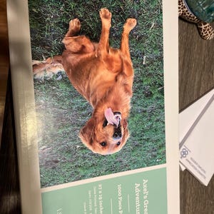 Jill added a photo of their purchase
