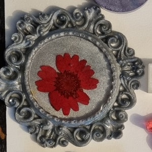 elisa added a photo of their purchase