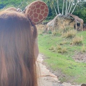 Gracie hat ein Foto des gekauften Artikels hinzugefügt