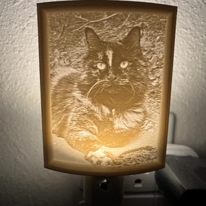 Chanin さんが購入した商品の写真を追加しました