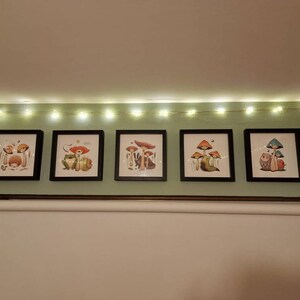 laura added a photo of their purchase