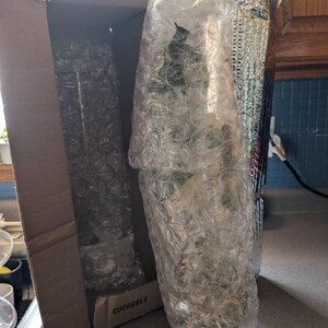 Shannon added a photo of their purchase