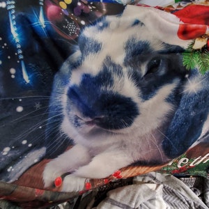 Ruby added a photo of their purchase