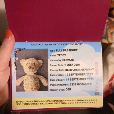 Teddy Bear Passport USA personalised Inc Photo - Etsy