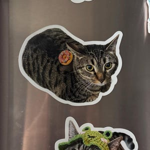 Asra さんが購入した商品の写真を追加しました