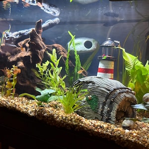 Shelby added a photo of their purchase