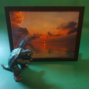Scott added a photo of their purchase
