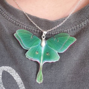 Alegra added a photo of their purchase