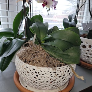 Adelyn added a photo of their purchase