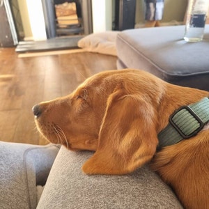Lara added a photo of their purchase