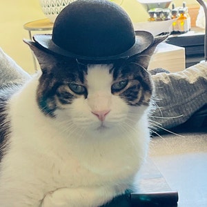 Danelle hat ein Foto des gekauften Artikels hinzugefügt
