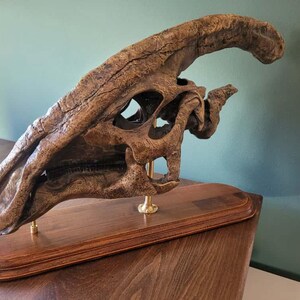 パラサウロロフス・ワルケリ頭蓋骨化石レプリカ：博物館品質、硬材