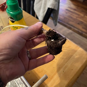 Melissa ha añadido una foto de su compra