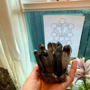 Alexandra added a photo of their purchase