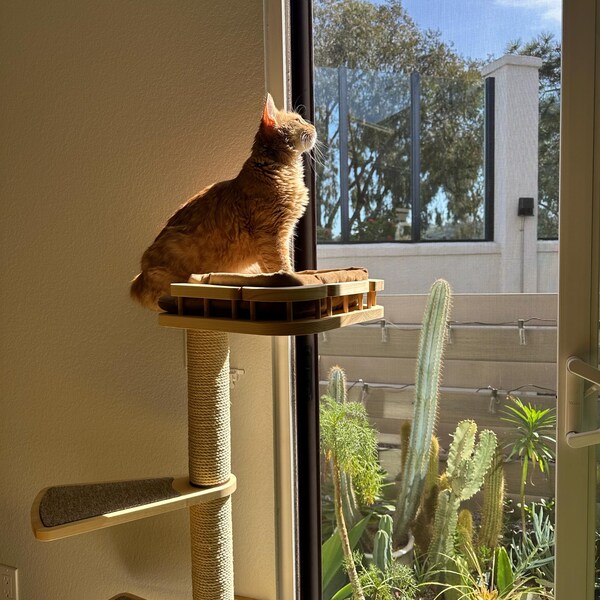 Picture of Cat Window Perch, Cat Shelves, Cat Wall Furniture / Shelf Location on ...