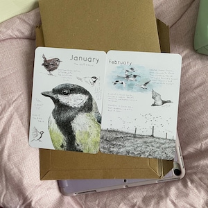 Feral ha añadido una foto de su compra